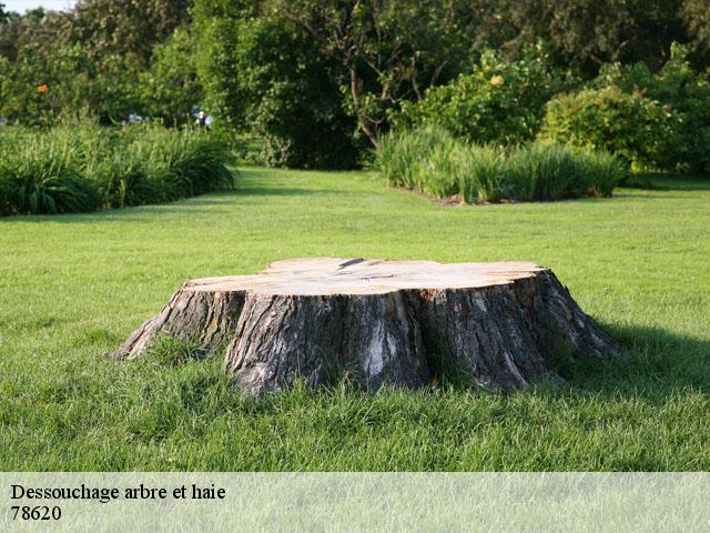 Dessouchage arbre et haie  78620