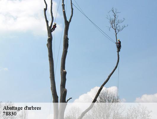 Abattage d'arbres 78830