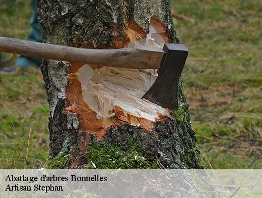 Abattage d'arbres 78830