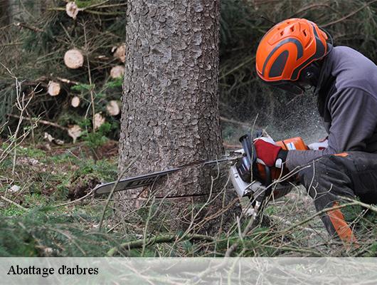 Abattage d'arbres 78830