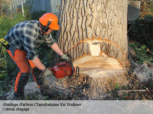 Abattage d'arbres  clairefontaine-en-yvelines-78120 Coteux elagage