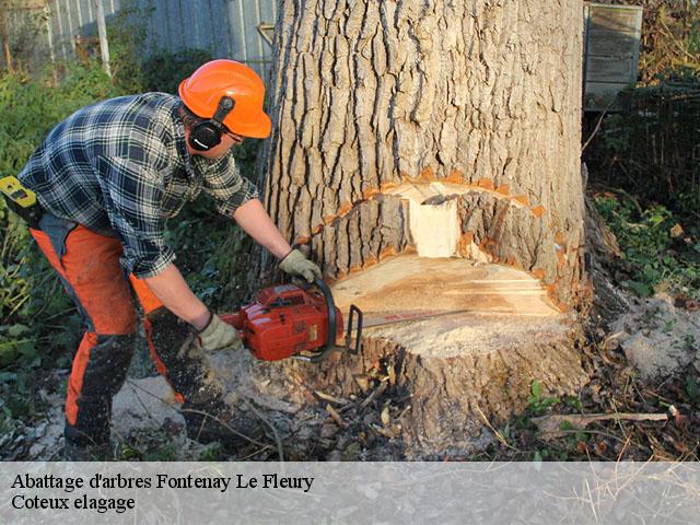 Abattage d'arbres  fontenay-le-fleury-78330 Coteux elagage