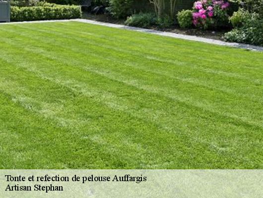 Tonte et refection de pelouse auffargis-78610 Artisan Stephan