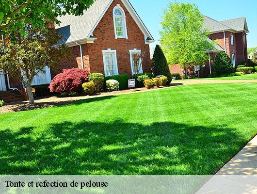 Tonte et refection de pelouse 78610