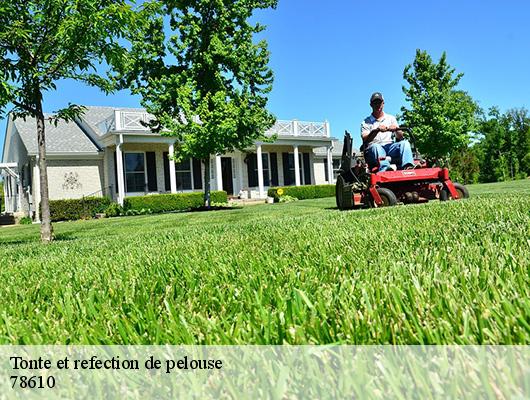 Tonte et refection de pelouse 78610