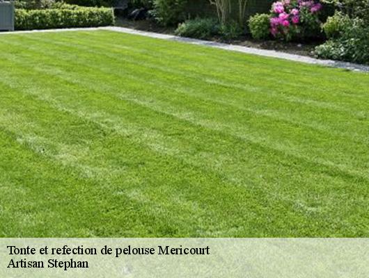 Tonte et refection de pelouse mericourt-78270 Artisan Stephan