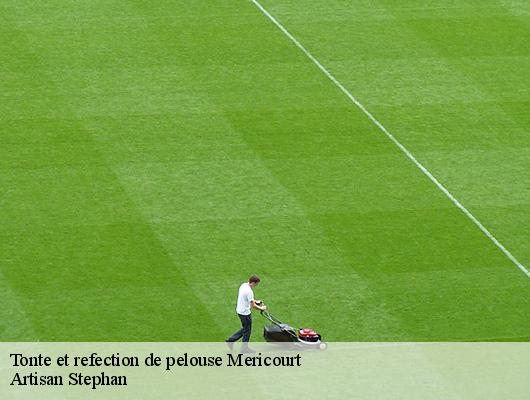 Tonte et refection de pelouse 78270